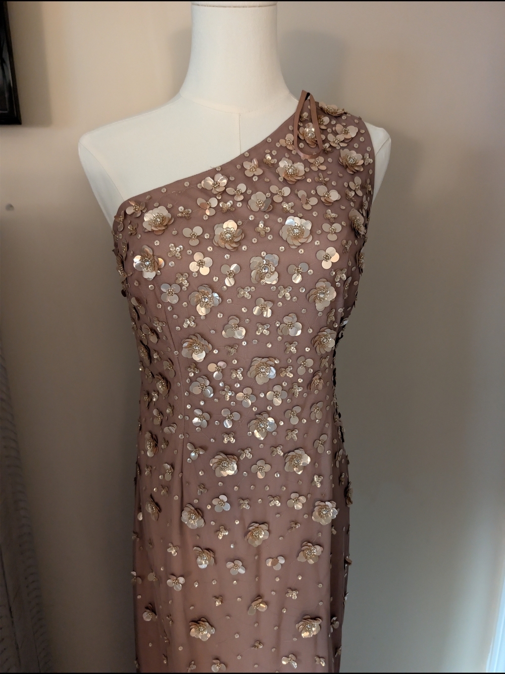 NWT Adrianna Papell 3D Floral Sequin One Shoulder Gown Dusty Rose Size 4 - Picture 2 of 5